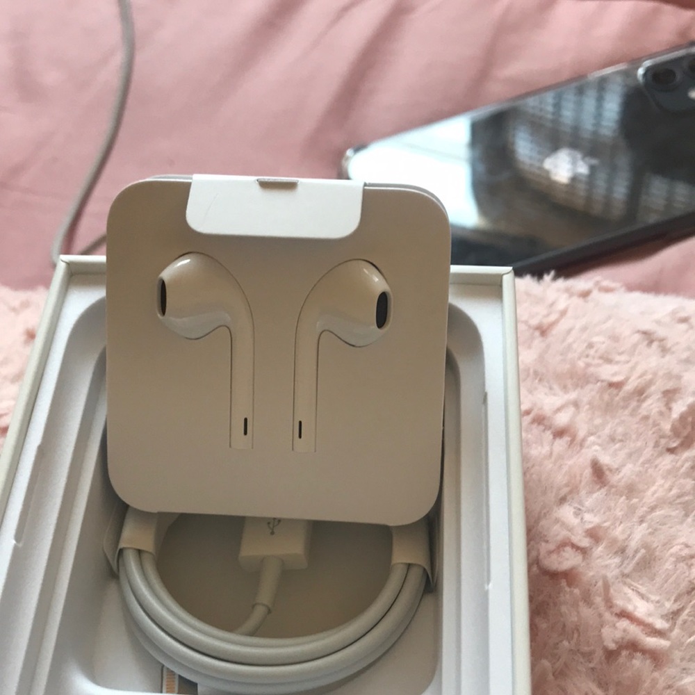 Apple Earphones